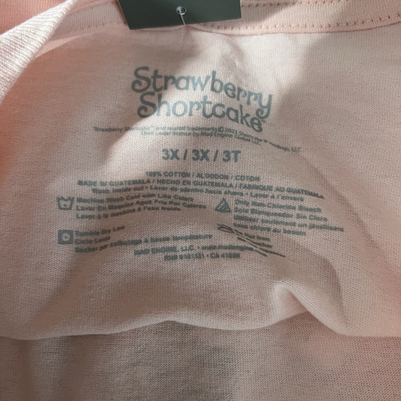 NWT Strawberry Shortcake T-Shirt Womens 3X Pink Retro Kidcore Nostalgia - Picture 4 of 5